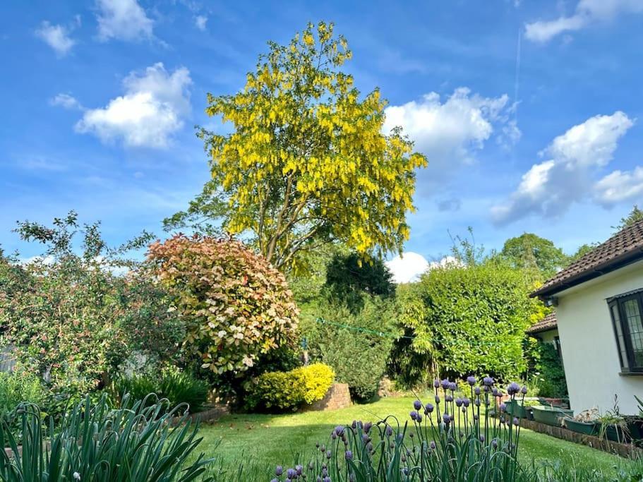 Linden Suite Goring Kültér fotó